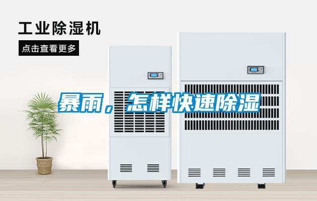 暴雨，怎樣快速除濕