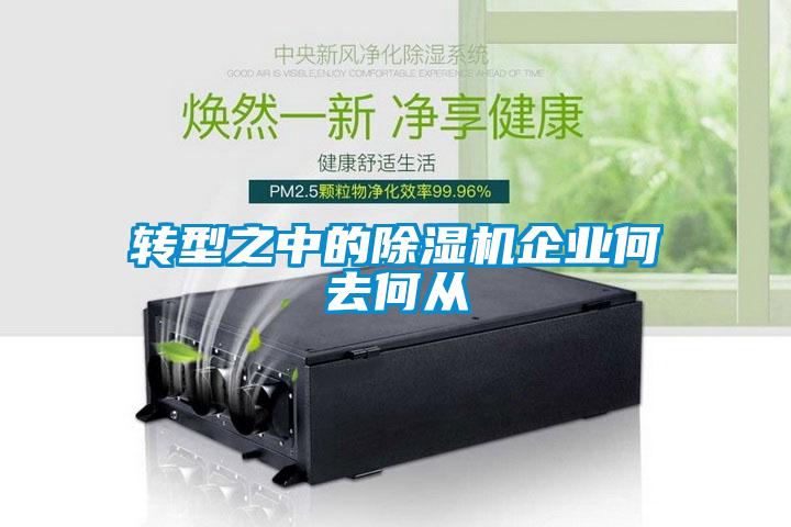 轉(zhuǎn)型之中的除濕機(jī)企業(yè)何去何從