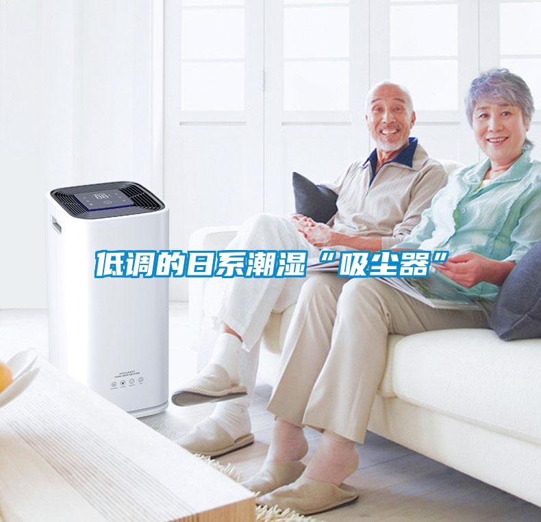 低調(diào)的日系潮濕“吸塵器”