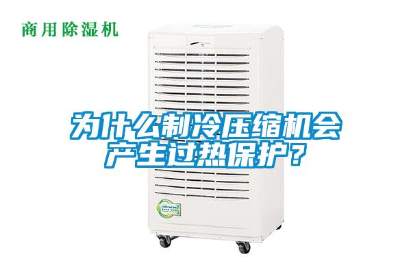 為什么制冷壓縮機(jī)會(huì)產(chǎn)生過(guò)熱保護(hù)？