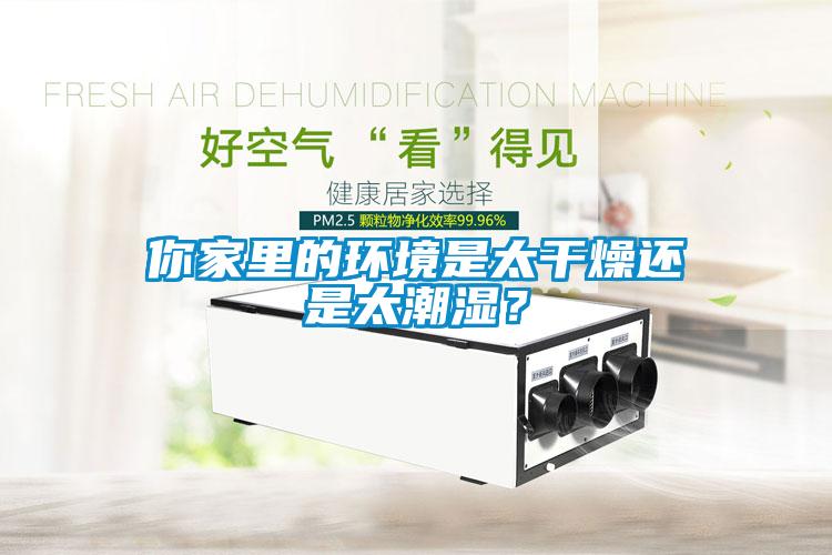 你家里的環(huán)境是太干燥還是太潮濕？