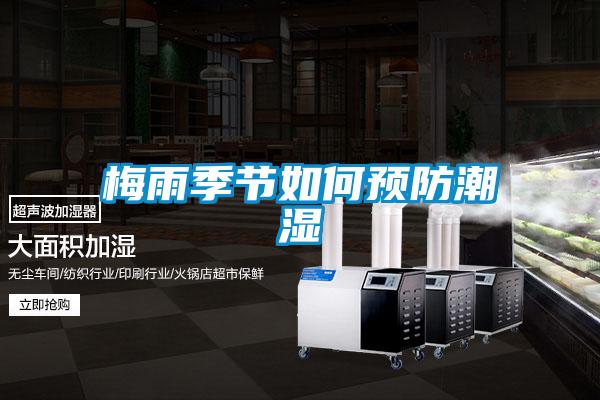 梅雨季節(jié)如何預防潮濕