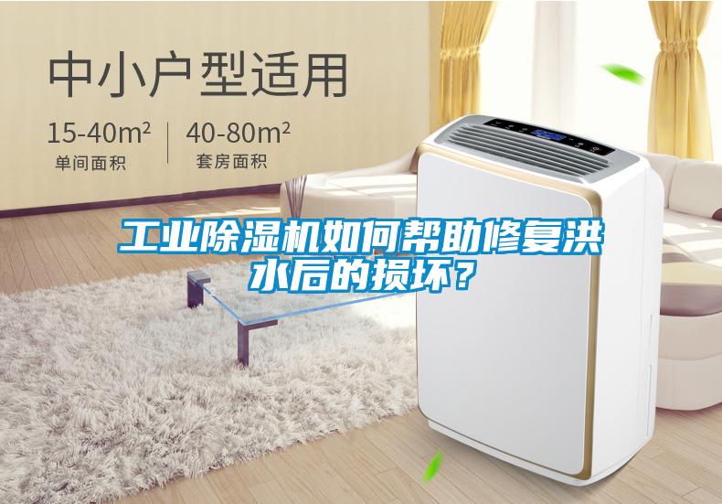 工業(yè)除濕機(jī)如何幫助修復(fù)洪水后的損壞？