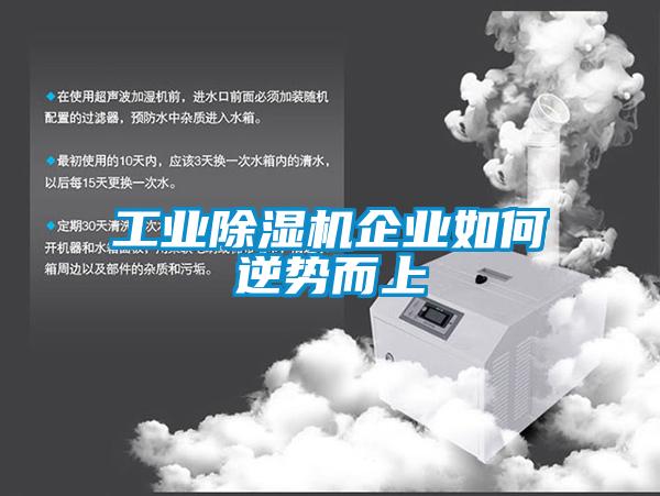 工業(yè)除濕機(jī)企業(yè)如何逆勢而上