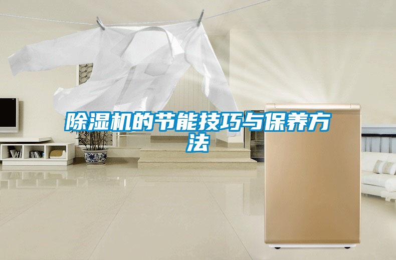 除濕機(jī)的節(jié)能技巧與保養(yǎng)方法