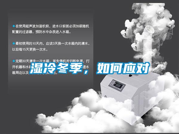 濕冷冬季，如何應(yīng)對