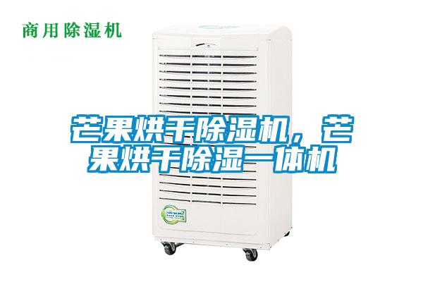 芒果烘干除濕機(jī)，芒果烘干除濕一體機(jī)