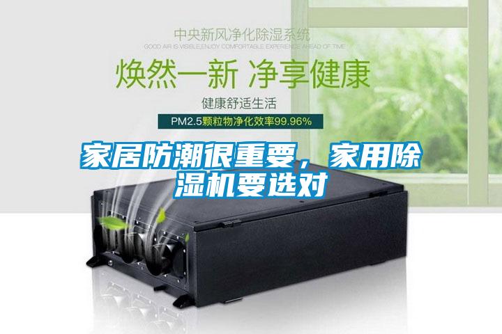 家居防潮很重要，家用除濕機要選對