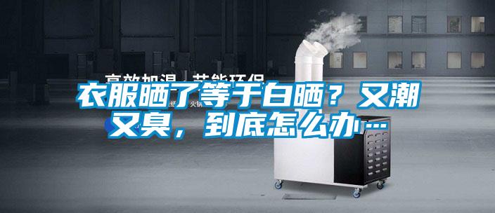 衣服曬了等于白曬？又潮又臭，到底怎么辦…
