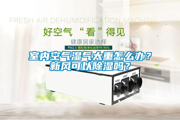 室內(nèi)空氣濕氣太重怎么辦？新風可以除濕嗎？