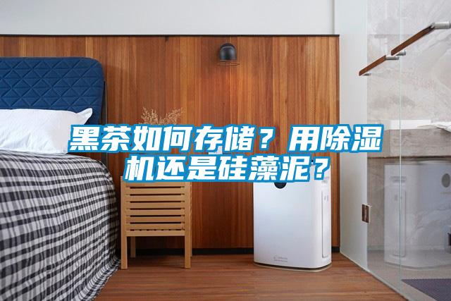 黑茶如何存儲(chǔ)？用除濕機(jī)還是硅藻泥？
