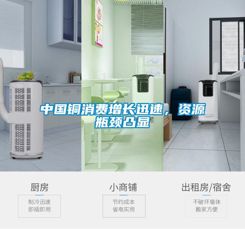 中國(guó)銅消費(fèi)增長(zhǎng)迅速，資源瓶頸凸顯