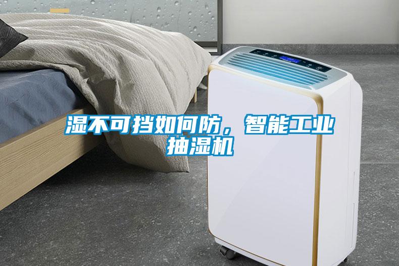 濕不可擋如何防，智能工業(yè)抽濕機(jī)
