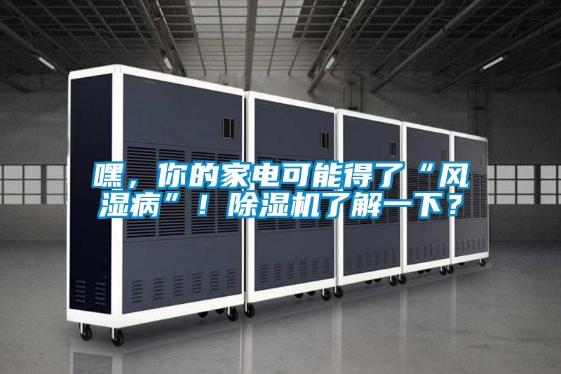 嘿，你的家電可能得了“風(fēng)濕病”！除濕機(jī)了解一下？