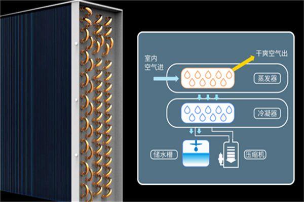 工業(yè)除濕機突破常規(guī)冷凍除濕機技術瓶頸