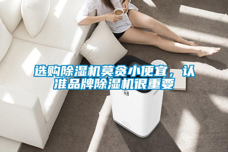 選購除濕機莫貪小便宜，認準品牌除濕機很重要