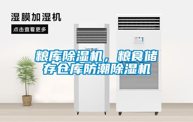 糧庫除濕機，糧食儲存?zhèn)}庫防潮除濕機