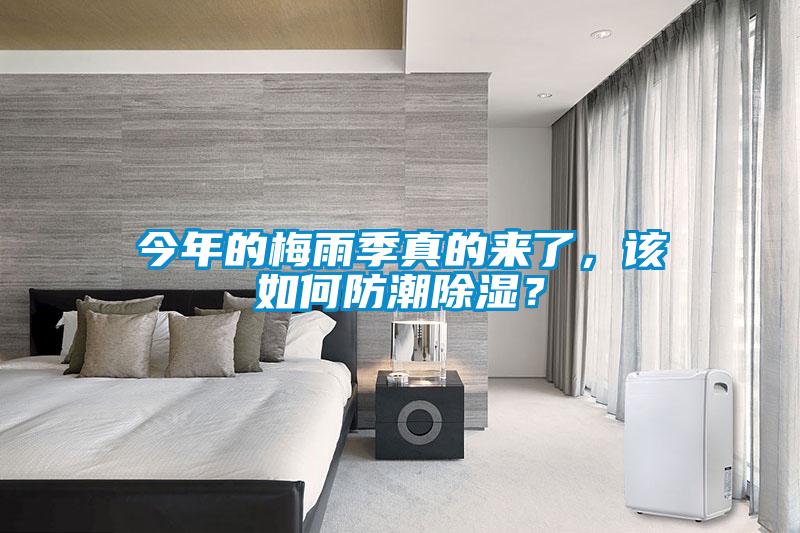 今年的梅雨季真的來了，該如何防潮除濕？