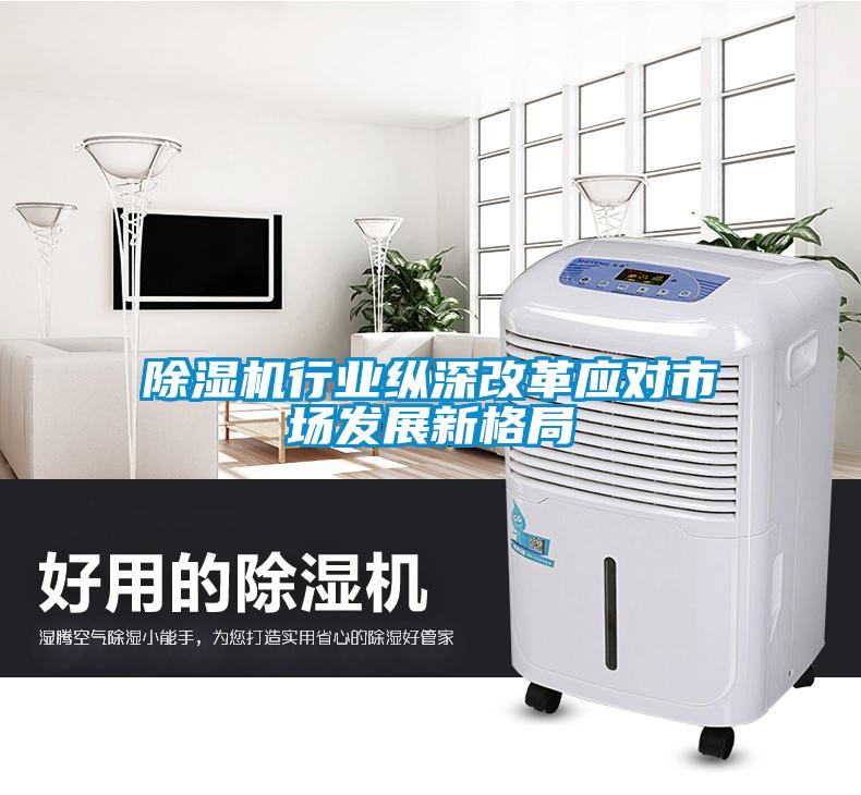 除濕機行業(yè)縱深改革應(yīng)對市場發(fā)展新格局