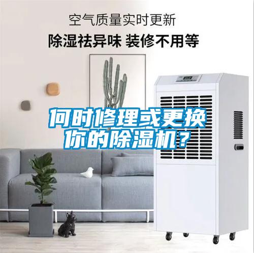 何時(shí)修理或更換你的除濕機(jī)？