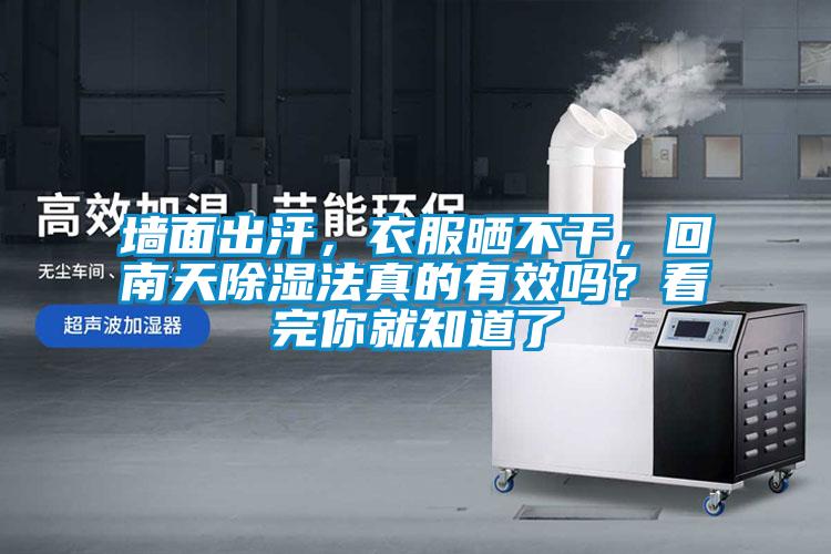 墻面出汗，衣服曬不干，回南天除濕法真的有效嗎？看完你就知道了