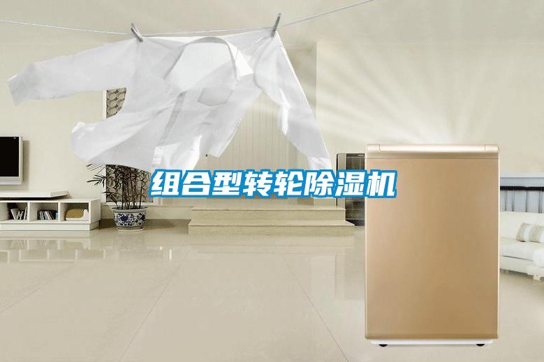 組合型轉(zhuǎn)輪除濕機(jī)
