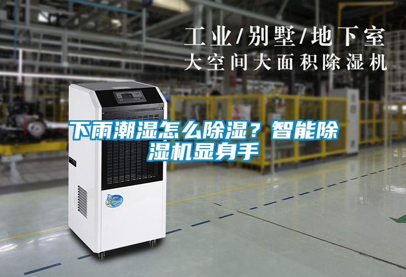 下雨潮濕怎么除濕？智能除濕機(jī)顯身手