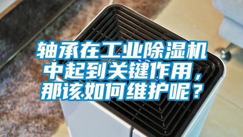 軸承在工業(yè)除濕機(jī)中起到關(guān)鍵作用，那該如何維護(hù)呢？