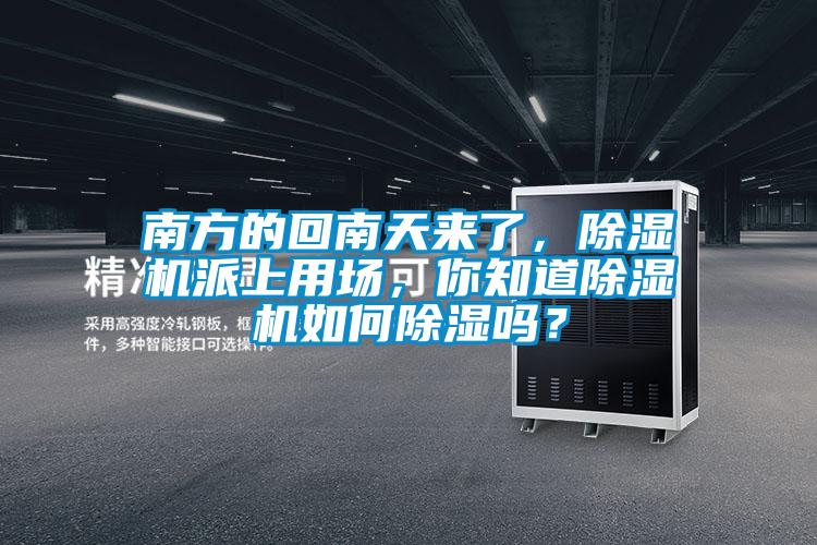 南方的回南天來了，除濕機(jī)派上用場，你知道除濕機(jī)如何除濕嗎？