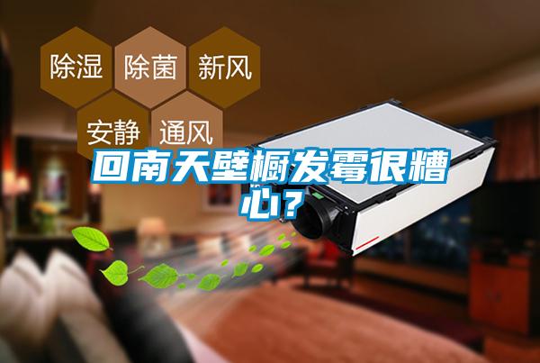 回南天壁櫥發(fā)霉很糟心？
