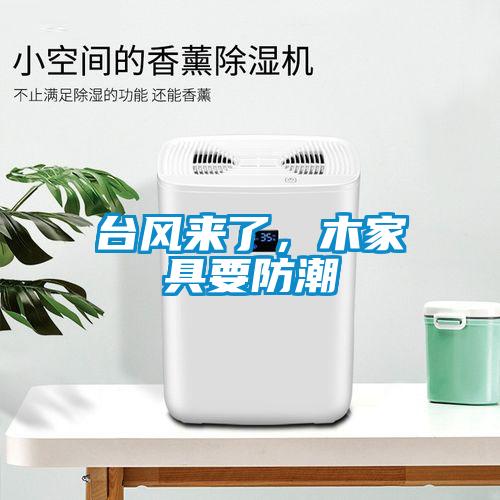 臺風(fēng)來了，木家具要防潮