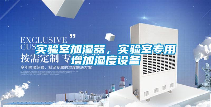 實(shí)驗(yàn)室加濕器，實(shí)驗(yàn)室專用增加濕度設(shè)備