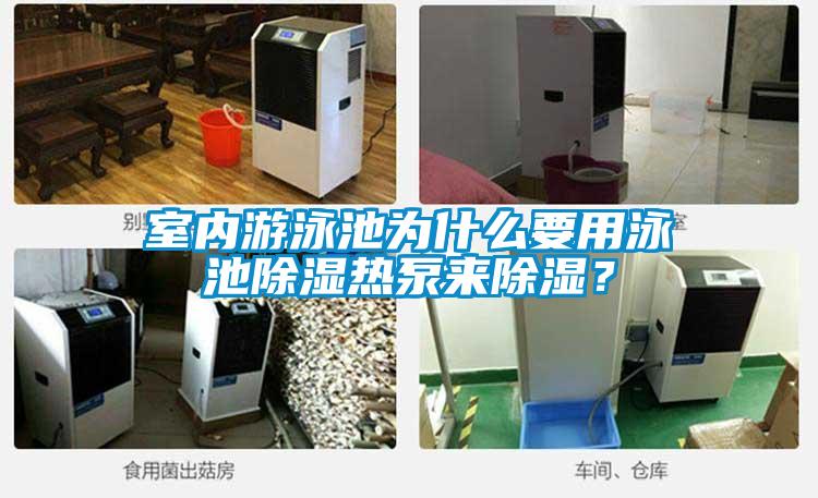 室內(nèi)游泳池為什么要用泳池除濕熱泵來除濕？