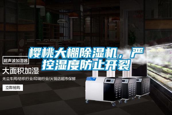 櫻桃大棚除濕機，嚴控濕度防止開裂