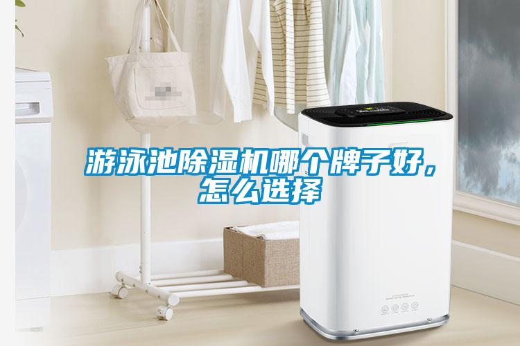 游泳池除濕機(jī)哪個牌子好，怎么選擇