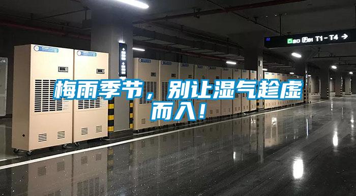 梅雨季節(jié)，別讓濕氣趁虛而入！