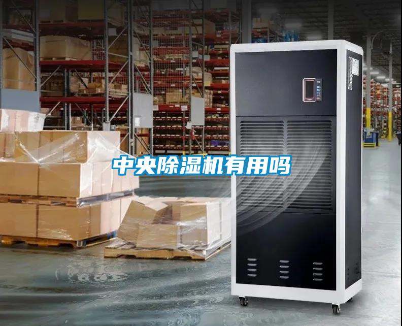中央除濕機(jī)有用嗎