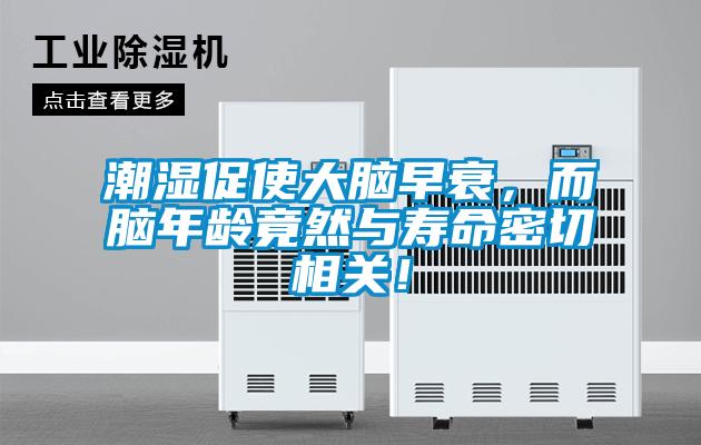 潮濕促使大腦早衰，而腦年齡竟然與壽命密切相關(guān)！