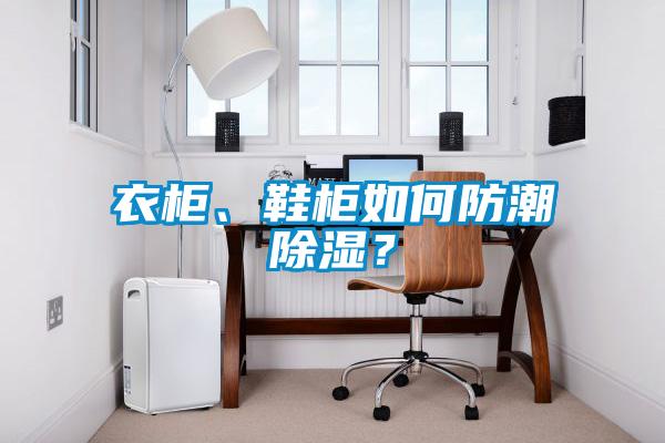 衣柜、鞋柜如何防潮除濕？