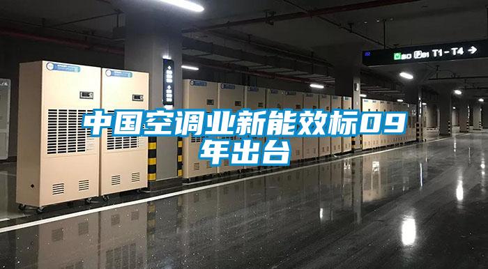 中國空調(diào)業(yè)新能效標09年出臺