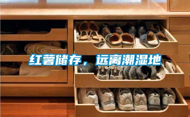 紅薯儲(chǔ)存，遠(yuǎn)離潮濕地