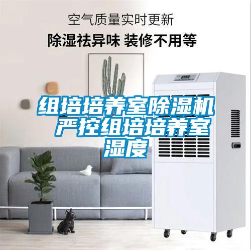 組培培養(yǎng)室除濕機 嚴控組培培養(yǎng)室濕度