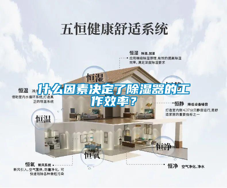 什么因素決定了除濕器的工作效率？