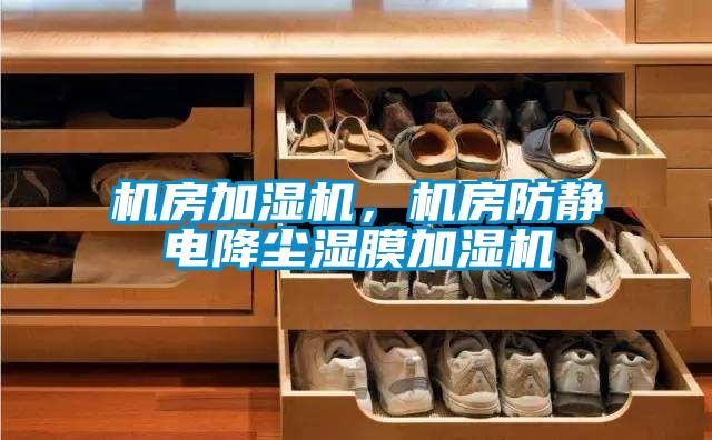 機(jī)房加濕機(jī)，機(jī)房防靜電降塵濕膜加濕機(jī)