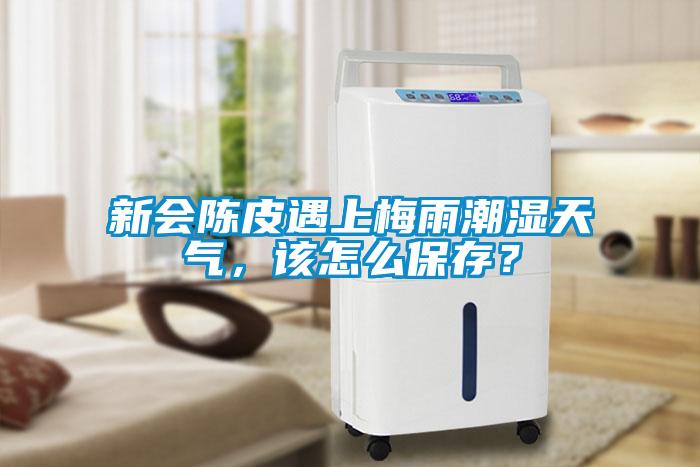 新會陳皮遇上梅雨潮濕天氣，該怎么保存？