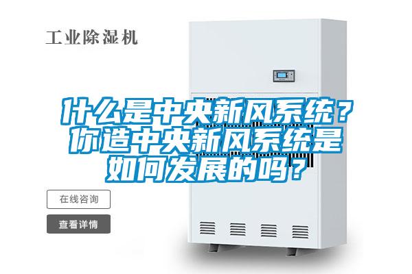 什么是中央新風(fēng)系統(tǒng)？你造中央新風(fēng)系統(tǒng)是如何發(fā)展的嗎？
