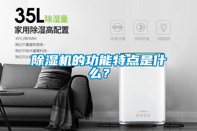 除濕機(jī)的功能特點(diǎn)是什么？