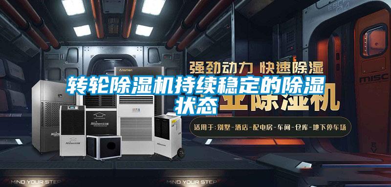 轉輪除濕機持續(xù)穩(wěn)定的除濕狀態(tài)