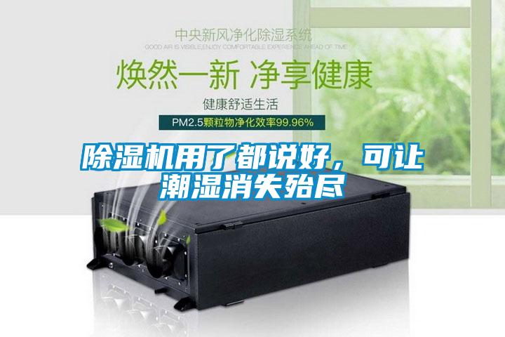 除濕機(jī)用了都說好，可讓潮濕消失殆盡