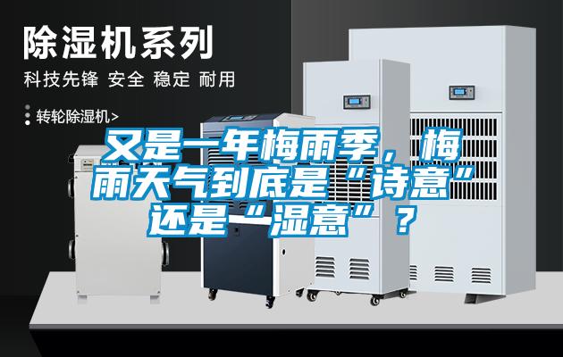 又是一年梅雨季，梅雨天氣到底是“詩意”還是“濕意”？
